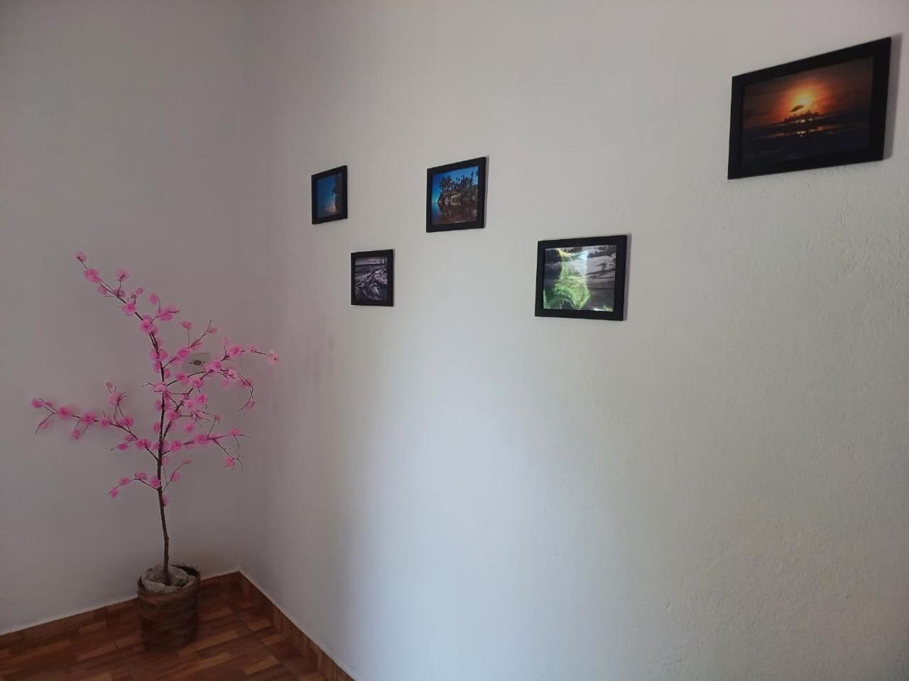 Casa Jubarte Villa Cumuruxatiba Luaran gambar